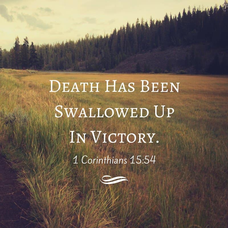 Death Has Been Swallowed Up in Victory